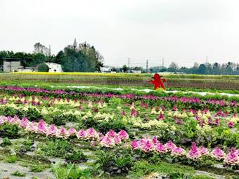 35aeda2e43334fe6938a11dc86cb217