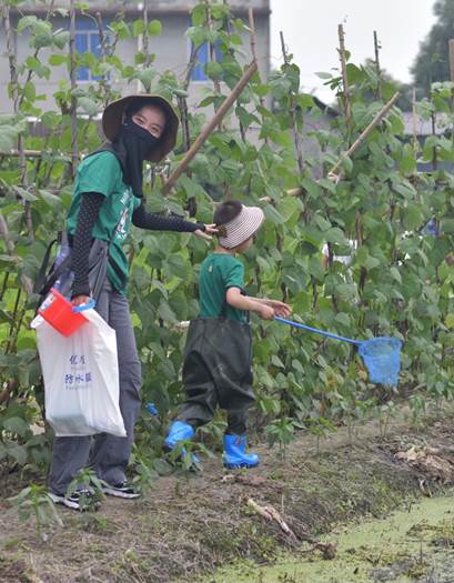 说明: 111BCC2ED5F3A89822761F31A2C33E88.png