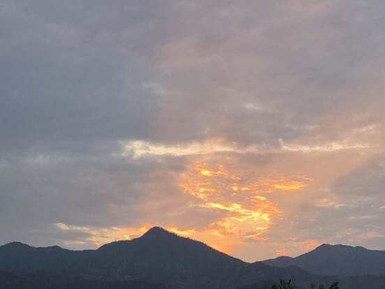 秋日余晖-张宏霞