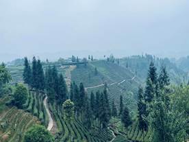 说明: C:\Users\Dell\AppData\Local\Temp\WeChat Files\1efcfbeca4449f99515d43c7100e664.jpg