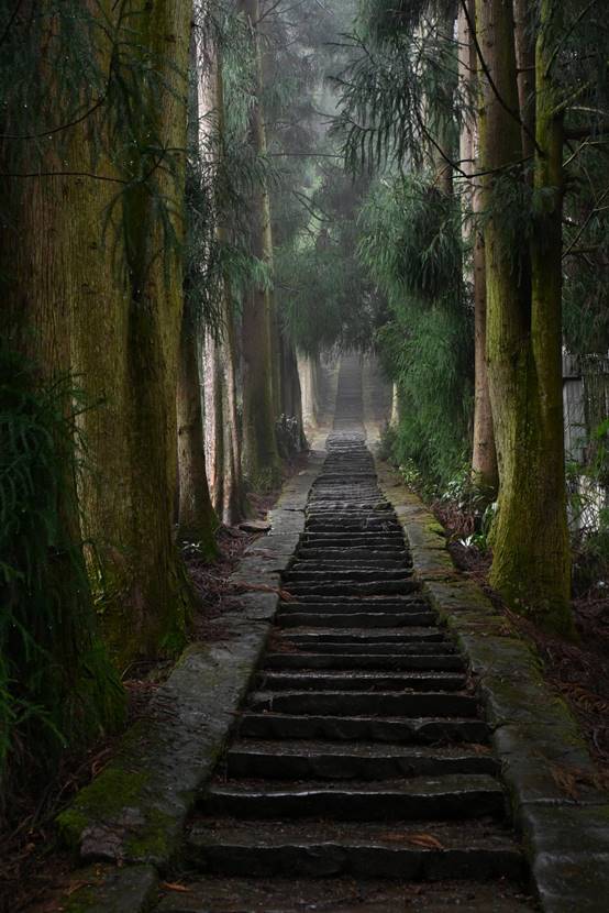 茶马古道-蒋孝禹