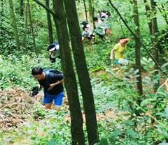 说明: 林中探秘