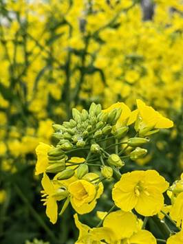 014161360c2ccca8a4d2be5c429451e