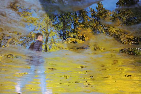 d6a751751061248ad60829fd6f51e41