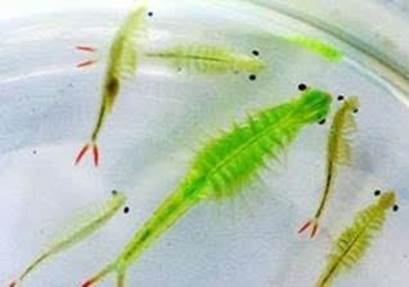 说明: 47FD4B32D93C3FDFBC405ED038E01029.png