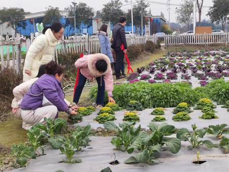 d2392a10b70b0dedc60f83bda810b53