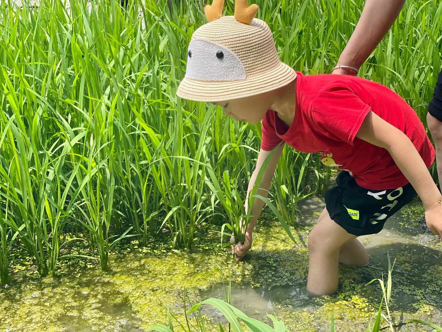 说明: QQ图片20210602154339.jpg