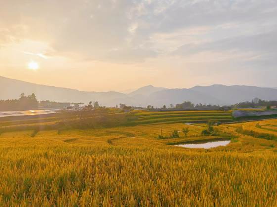 秋天的守望-李婷