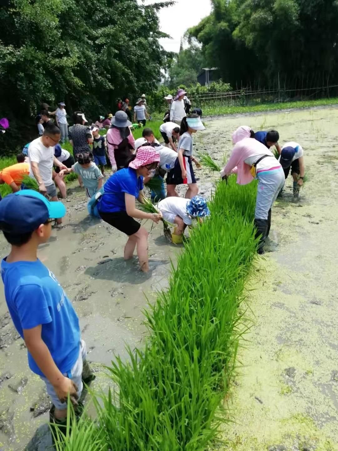 说明: QQ图片20210602154533.jpg