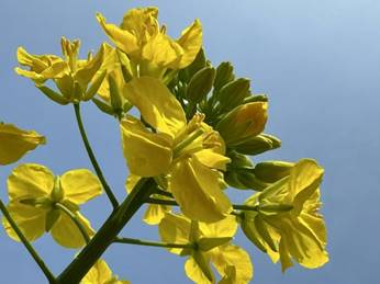 f9202bfaaaae02d32638f1fa9cbd9ba