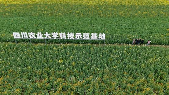 e6ccb19d725f52f60680a9da45aad61