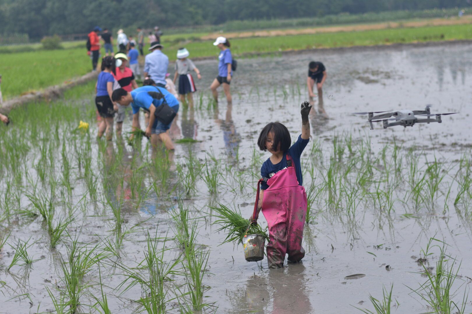 说明: QQ图片20210602154518.jpg