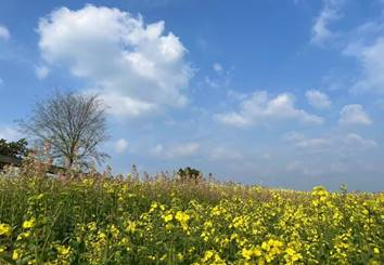 e7323ad4907df786eace98239bf877c