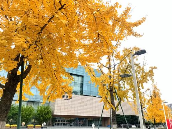 金秋书苑-彭丹丹