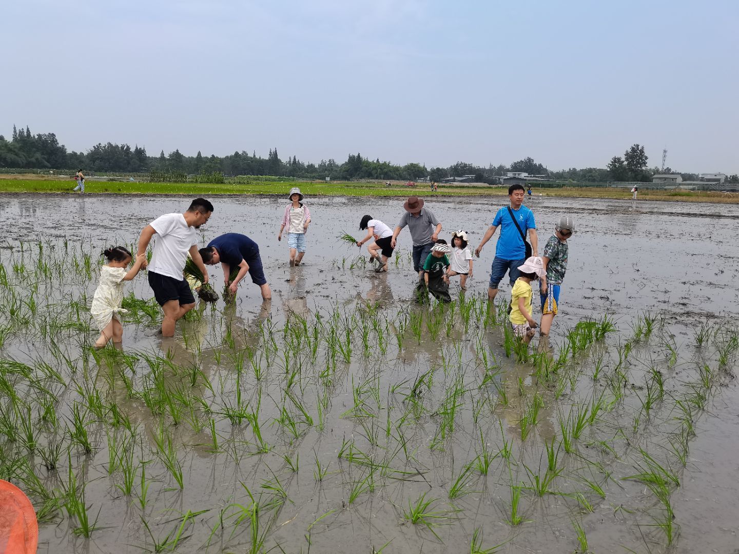 说明: QQ图片20210602162022.jpg