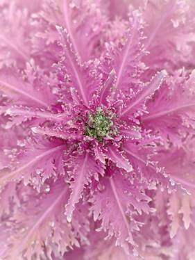 a7247e94f632dfd06bf5f3a0133bc57