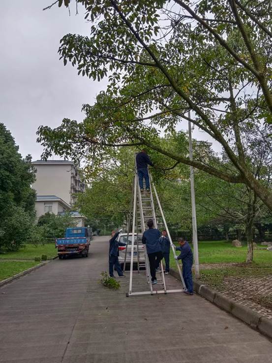 说明: 微信图片_20221212163340