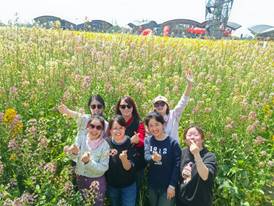 6e846e37e966d37e940ccf4e54489ba